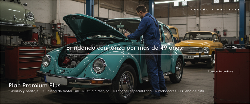 Plan Premium Plus